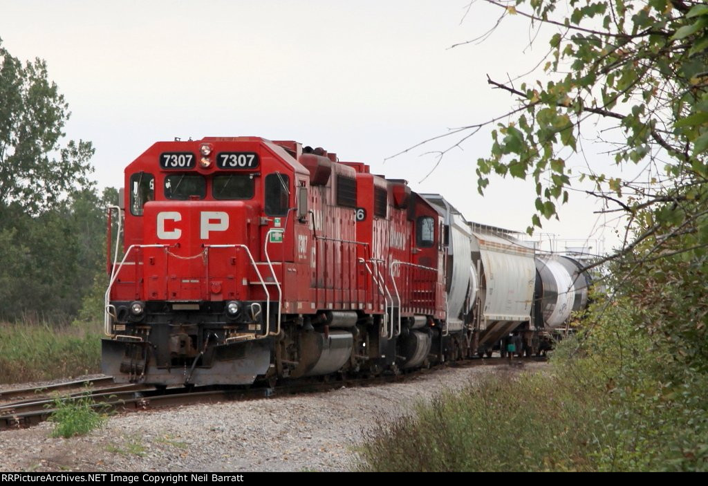 CP 7307